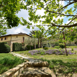 Bed And Breakfast Giucalem La Casa Negli Orti